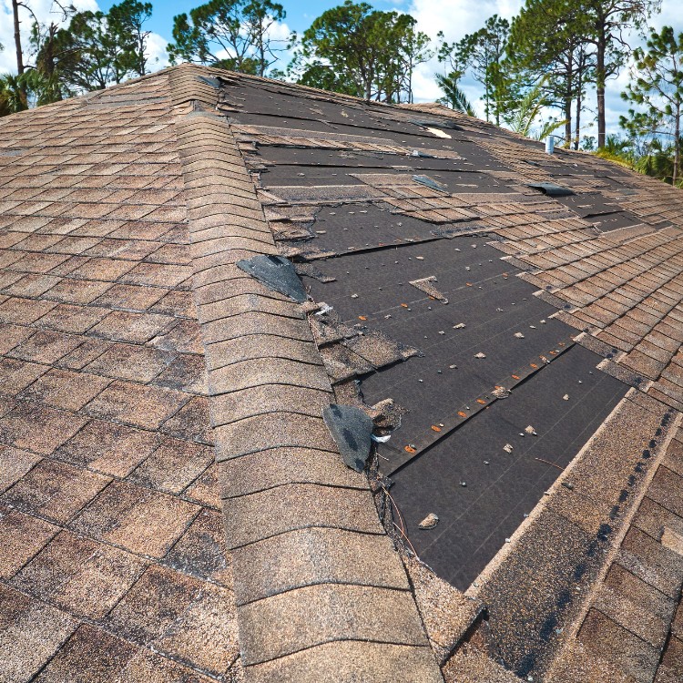 Home Improvement Services in Detroit, MI